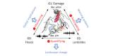 UNREST - ERC St-G 2025
